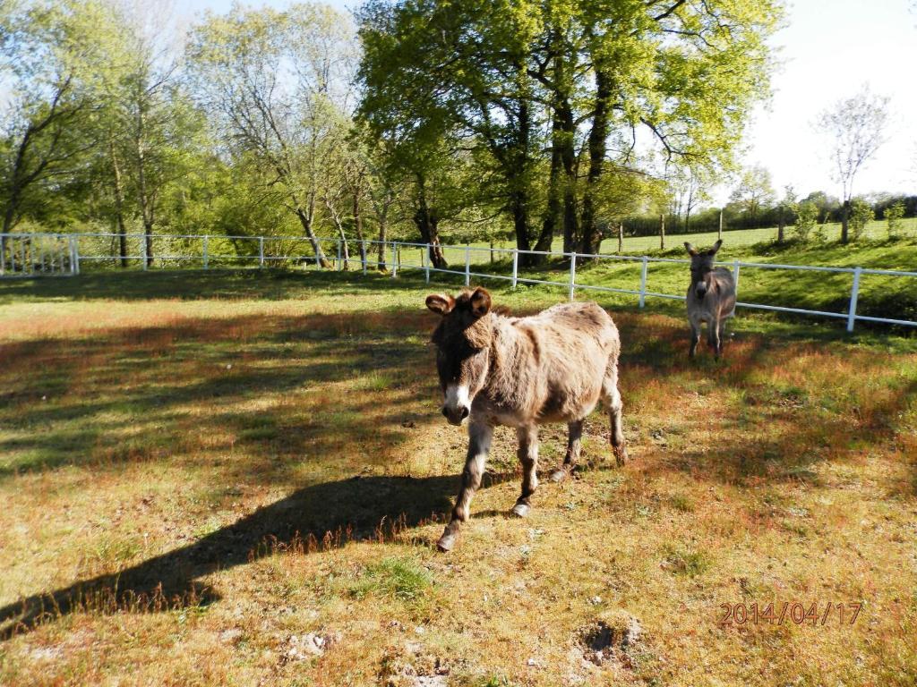 Domaine De Varenne Bed and Breakfast Saint-Amand-en-Puisaye Exteriör bild