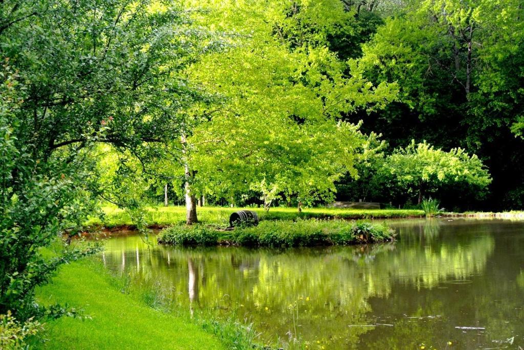 Domaine De Varenne Bed and Breakfast Saint-Amand-en-Puisaye Exteriör bild